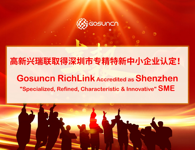 WPS设计-专精特新_01(1)